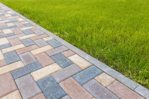 Best Driveway Pavers Near Me  in Bosque Farms, NM